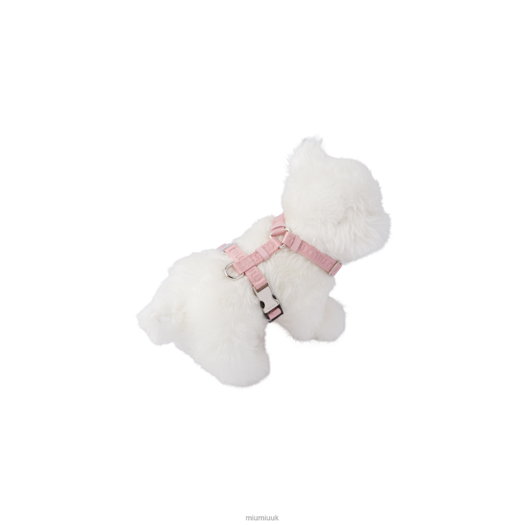 Accessories Woven Tape Dog Harness Miu Miu XH28Z1103 Alabaster Pink