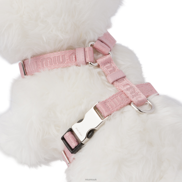 Accessories Woven Tape Dog Harness Miu Miu XH28Z1103 Alabaster Pink